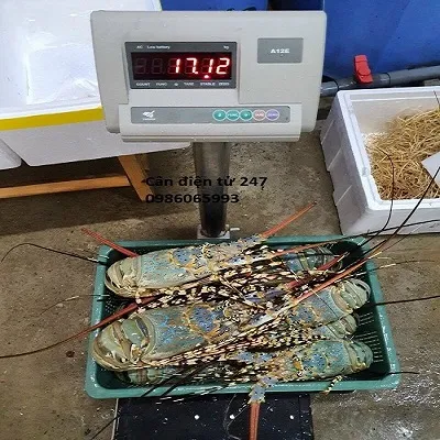Cân bàn điện tử Yaohua XK3190-A12 50kg, 60kg, 100kg, 150kg, 200kg, 300kg